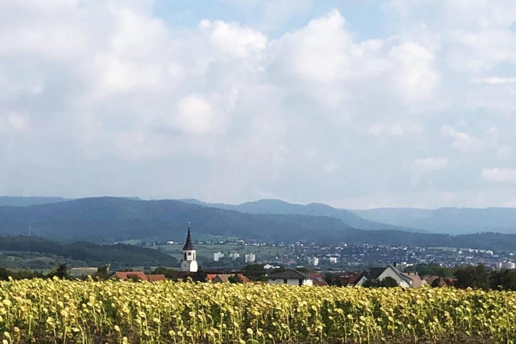 Kleines Haeuschen Zum Wohlfuehlen Apartment บาลิงเงน ภายนอก รูปภาพ
